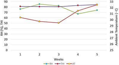 Mulberry Leaf Flavonoids Improve Milk Production, Antioxidant, and Metabolic Status of Water Buffaloes